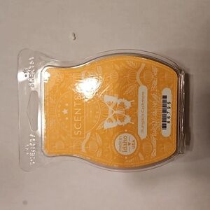 Pumpkin Cashmere Scentsy Bar